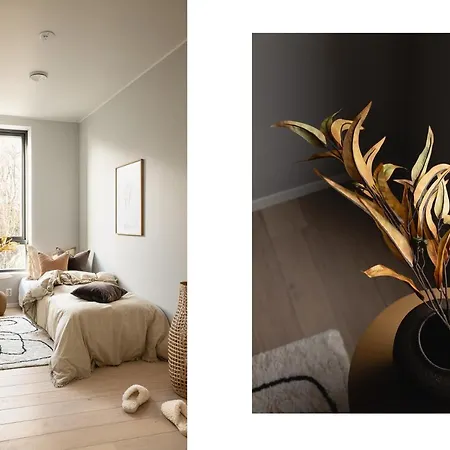 Pent House In Appartement *